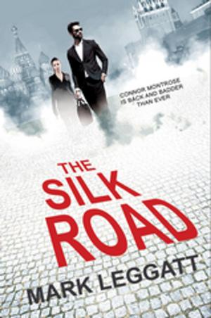 Cover of the book The Silk Road by Philip Caveney