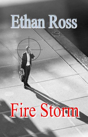 Cover of the book Fire Storm by Maliha Siddiqui