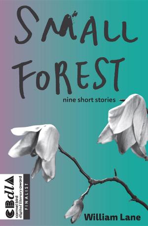 bigCover of the book Small Forest by 
