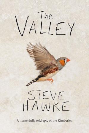 Cover of the book The Valley by Caitlin Maling