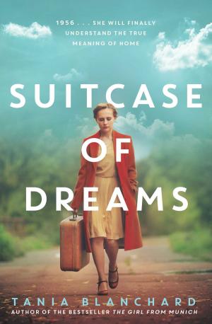 Cover of the book Suitcase of Dreams by David Gregory