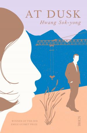 Book cover of At Dusk