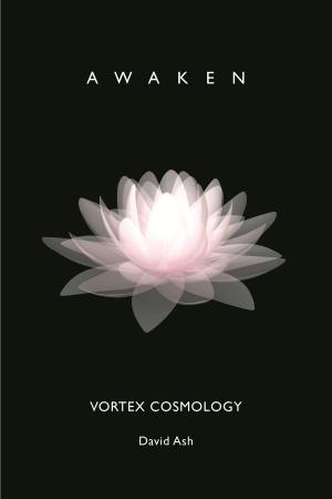 Cover of the book Vortex Cosmology: Awaken by Bernard Brom