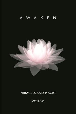 Cover of the book Miracles and Magic: Awaken by Kiara Windrider
