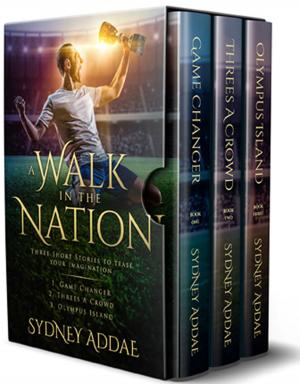 bigCover of the book A Walk in the Nation by 