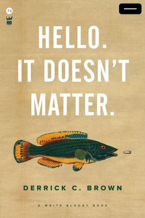 Cover of the book Hello. It Doesn't Matter. by Cristin O'Keefe Aptowicz