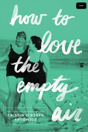 Cover of the book How to Love the Empty Air by Mindy Nettifee