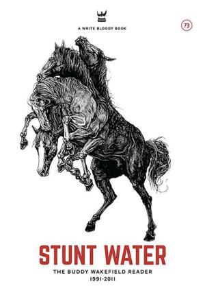 Cover of the book Stunt Water eBook by Mindy Nettifee