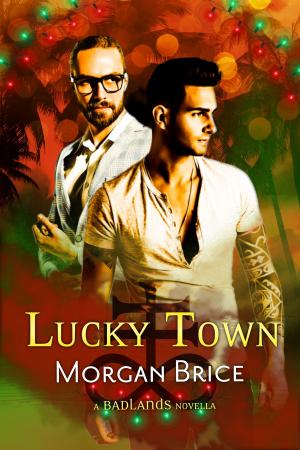 Book cover of Lucky Town