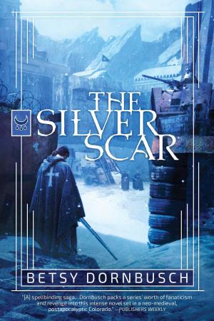 Book cover of The Silver Scar