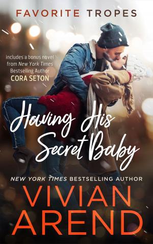 Cover of the book Having His Secret Baby: contains Ride Baby Ride/ A SEAL’s Consent by Mary Ann Bernal