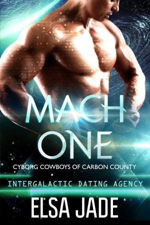 Cover of the book Mach One by Jessa Slade