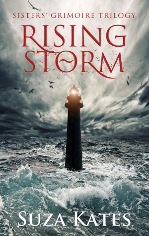 bigCover of the book Rising Storm by 