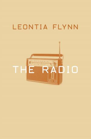 Book cover of The Radio