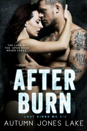 Book cover of After Burn