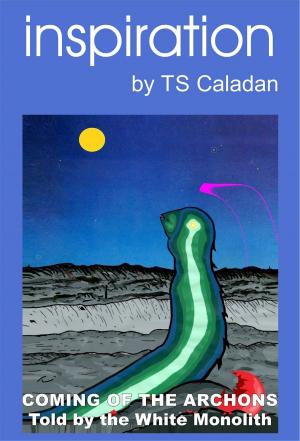 Cover of the book Inspiration by TS Caladan