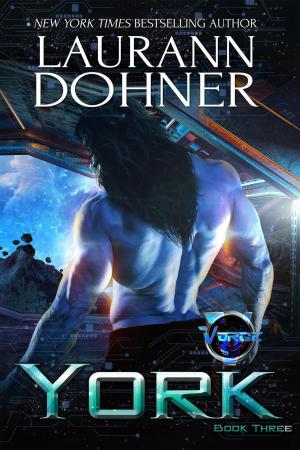 Cover of the book York by Laurann Dohner
