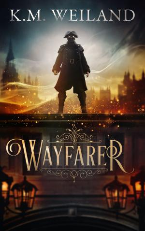 Book cover of Wayfarer
