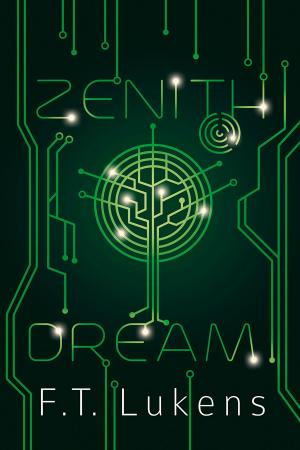 Cover of the book Zenith Dream by Jude Sierra