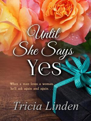Book cover of Until She Says Yes
