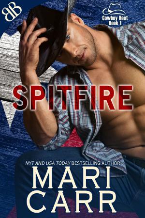 Cover of the book Spitfire by E. M. Nally