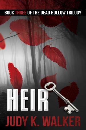 Cover of the book Heir by Lora Slámová