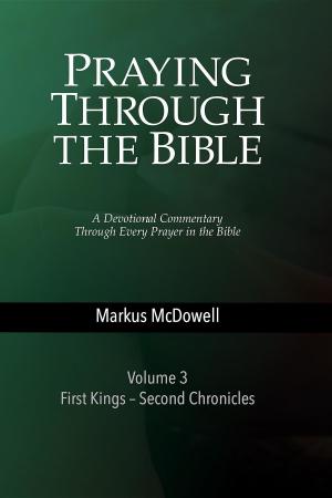 Cover of the book Praying Through the Bible (Vol 3) by Paula Langguth Ryan