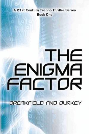 Book cover of The Enigma Factor