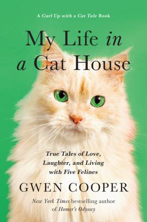 Cover of the book My Life in a Cat House by Chris Donaghue