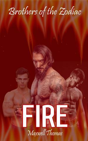 Cover of Brothers of the Zodiac: Fire