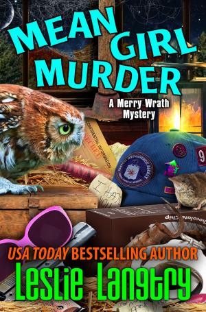 Cover of the book Mean Girl Murder by T. Sue VerSteeg, Elizabeth Ashby