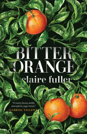 Book cover of Bitter Orange