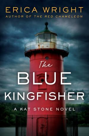 Cover of the book The Blue Kingfisher by D.W. Buffa