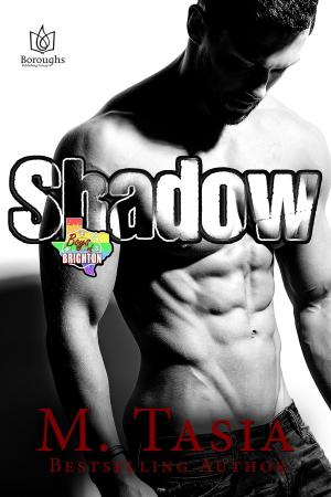 Cover of the book Shadow by Elisabeth Silvers