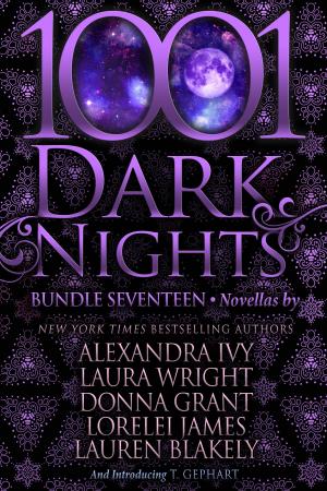 Book cover of 1001 Dark Nights: Bundle Seventeen