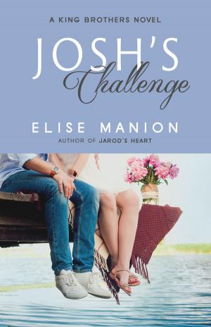 Cover of the book Josh's Challenge by Robert Davies