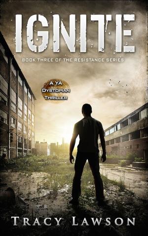 Cover of the book Ignite by Amy Cross Hile