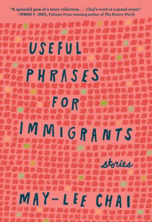 Cover of the book Useful Phrases for Immigrants by Tiya Miles