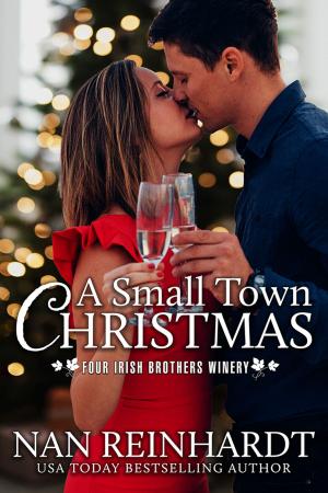 Cover of the book A Small Town Christmas by Eve Gaddy