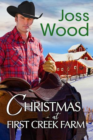 bigCover of the book Christmas at First Creek Farm by 