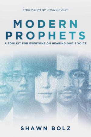 Book cover of Modern Prophets