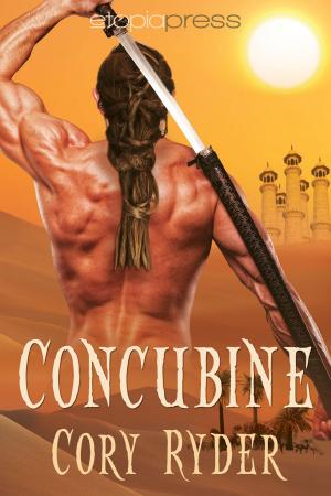 Cover of the book Concubine by Anne Lange