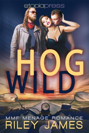 bigCover of the book Hog Wild: MMF Menage Romance by 