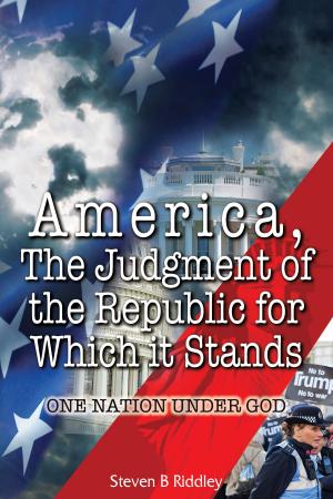 Cover of the book America, The Judgment of the Republic for Which it Stands by Angela Herrick