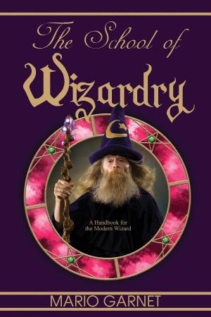 Cover of the book The School of Wizardry by RICHARD LEON