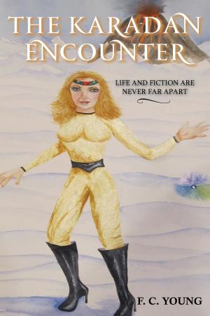 bigCover of the book The Karadan Encounter by 