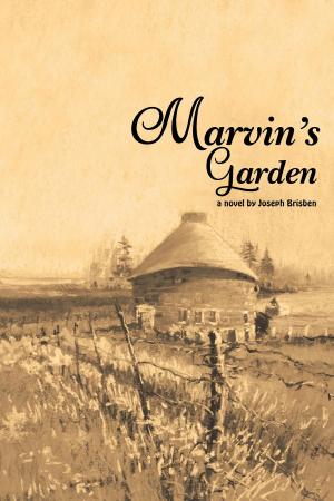Book cover of MARVIN'S GARDEN
