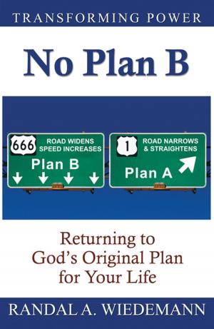 Cover of the book No Plan B by Dr Zandia Bronkhorst