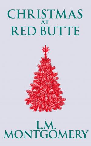 Cover of the book Christmas at Red Butte by Rosemary Dun