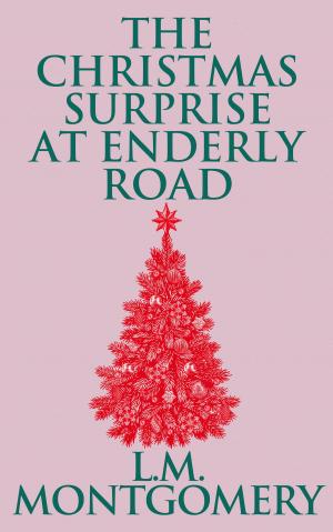Cover of the book Christmas Surprise at Enderly Road, The by The Brothers Grimm